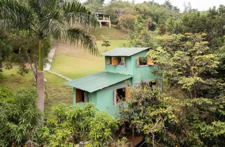 Hotel Yocahu Treehouse Rio Grande Exterior foto